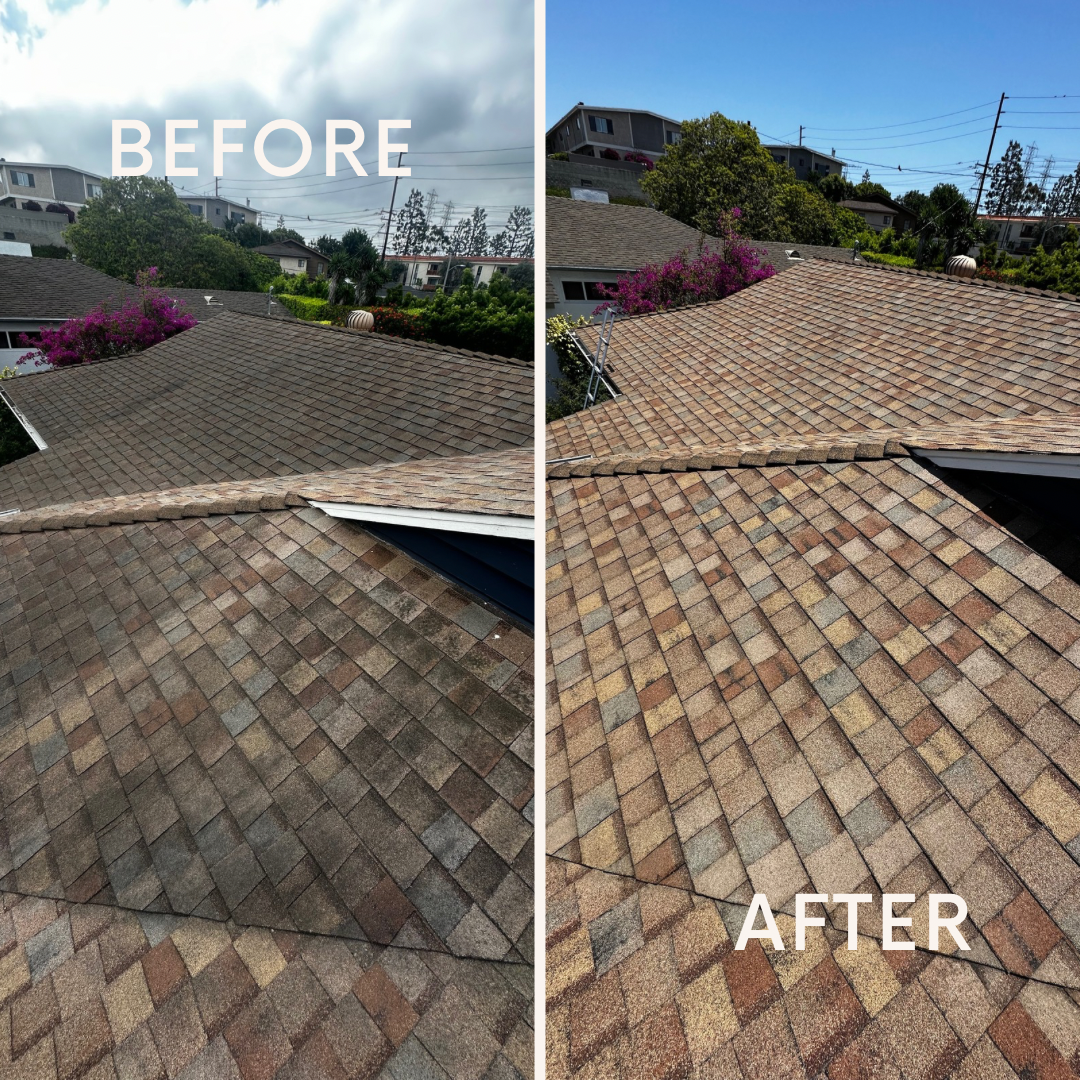 Roof Cleaning In Redondo Beach, CA Thumbnail